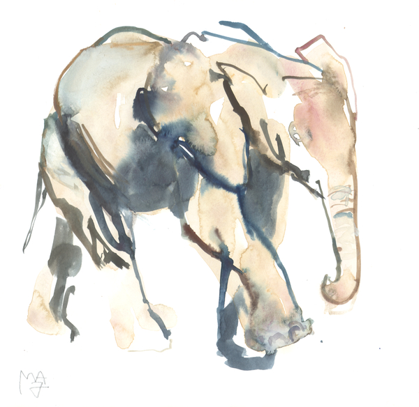 Elephant calf, Loisaba à Mark  Adlington
