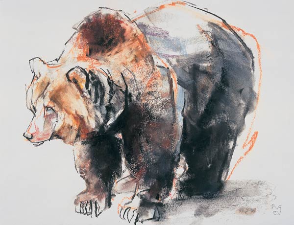 European Brown Bear à Mark  Adlington