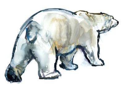 Glacier MInt (Polar bear)