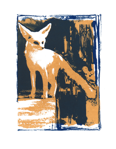Little Desert Fox à Mark  Adlington