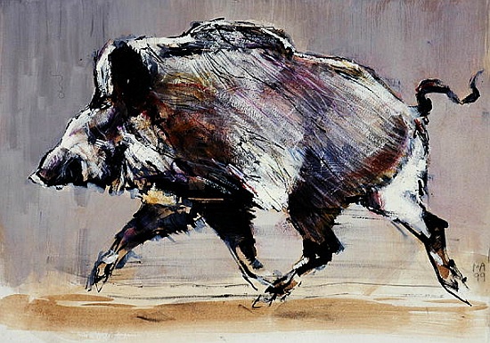 Running boar à Mark  Adlington