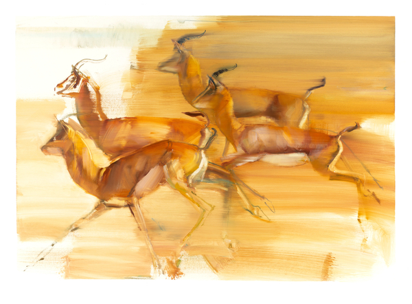 Running Gazelles à Mark  Adlington