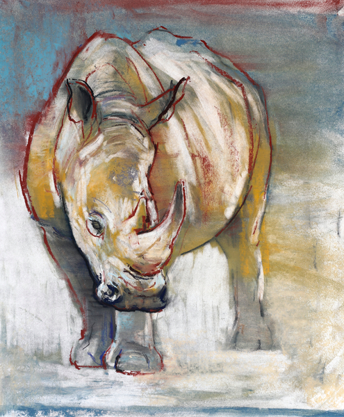 White Rhino, Ol Pejeta à Mark  Adlington