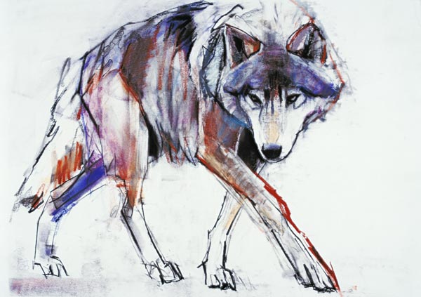 Wolf à Mark  Adlington