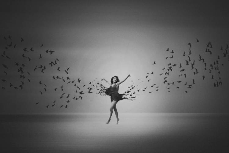 Ballerina flight of Birds à Mark Biwit