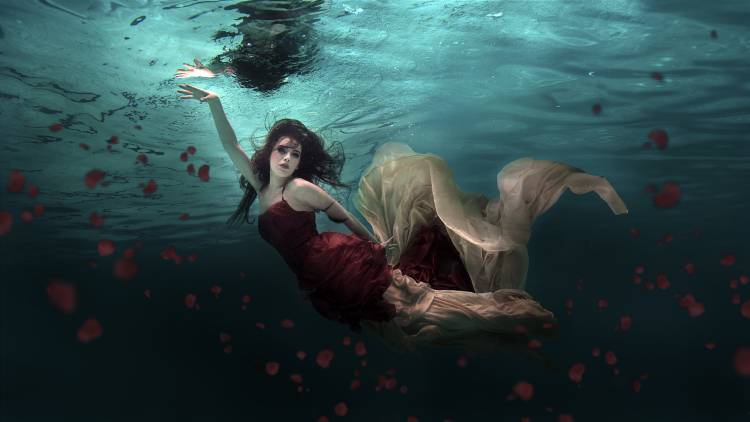 Ocean of Roses à Martha Suherman