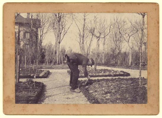 Gustave Caillebotte (1848-94) gardening at Petit Gennevilliers, February 1892 (b/w photo) à Martial Caillebotte