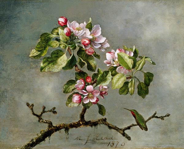 Apple Blossoms and a Hummingbird à Martin Johnson Heade