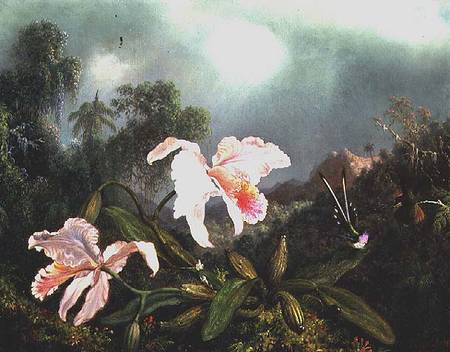 Jungle orchids and hummingbirds à Martin Johnson Heade