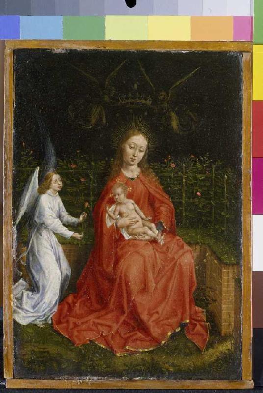 madonne devant la haie de rose à Martin Schongauer (cercle)