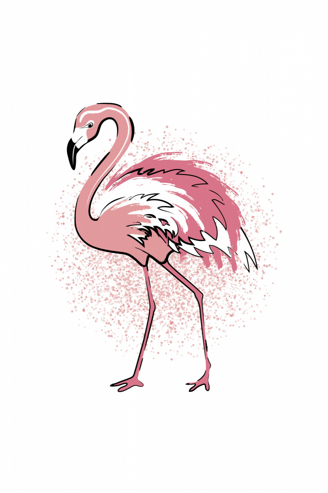Flamingo à Martina