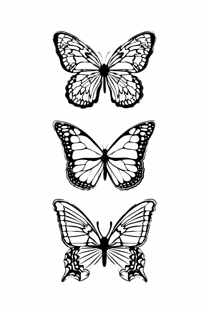 Black Butterflies à Martina