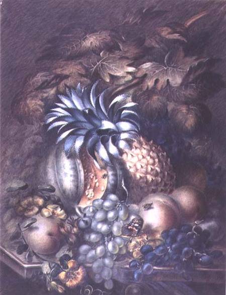 Study of Fruit à Mary Bradley