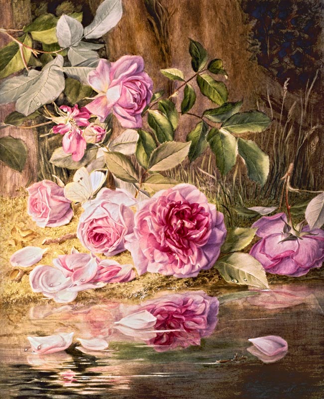 Blairie Roses à Mary Elizabeth Duffield