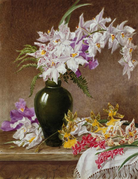 Orchids in a Vase à Mary Elizabeth Duffield