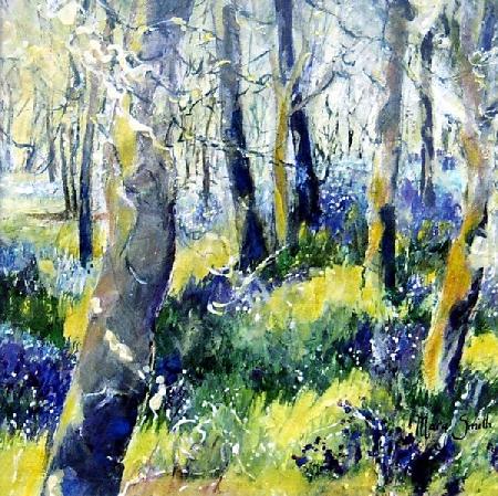 Bluebells and Yellow
