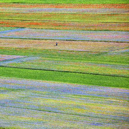 Castelluccio 5