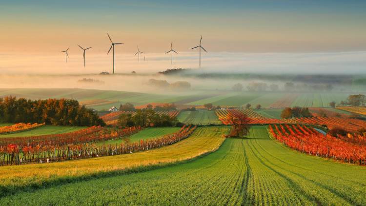 Autumn Atmosphere in Vineyards à Matej Kovac