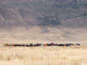 Incredible Maasai