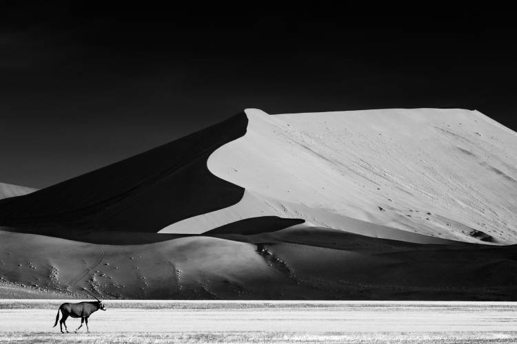 The Solitary à Mathilde Guillemot