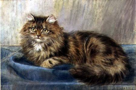 Persian Cat (pastel) à Maud D. Heaps