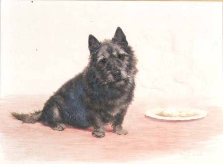 Suppertime - A Scottish Terrier Seated by a Plate à Maud Earl