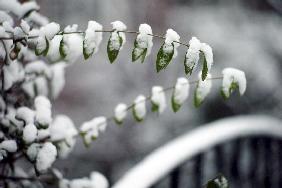 Winterimpressionen aus Hamburg