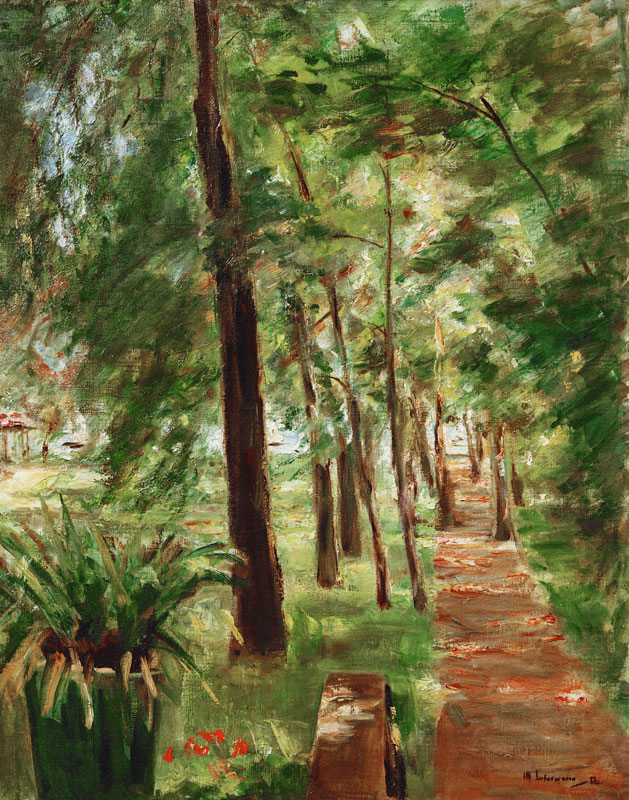 l'allée de bouleaux dans le jardin de Wannsee vers l'est à Max Liebermann