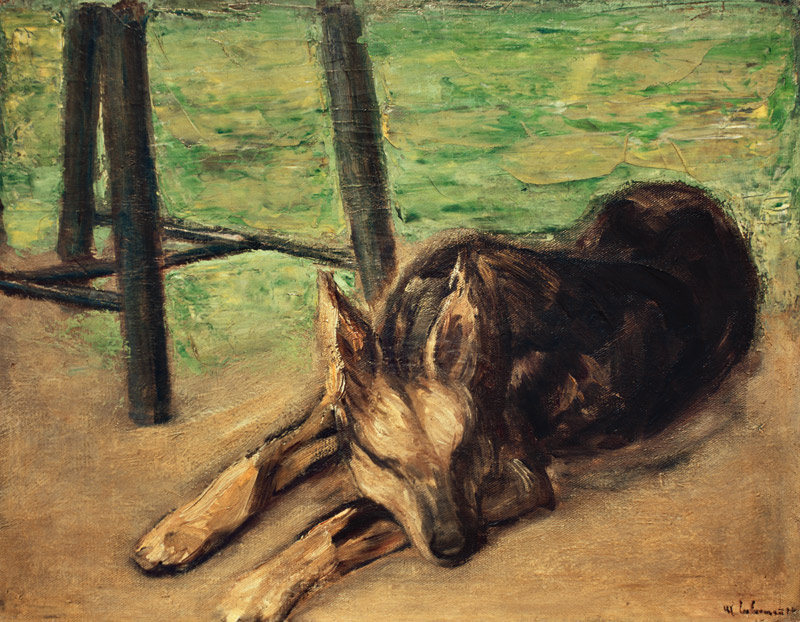 Schlafender Schäferhund à Max Liebermann