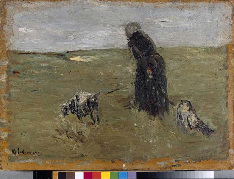 Alte Frau mit Ziegen (Studie) à Max Liebermann