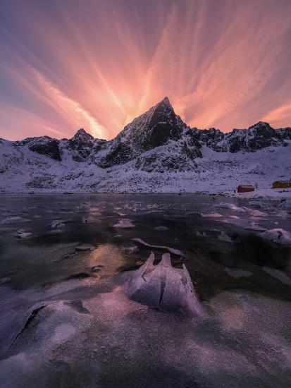 Ice Lotus in Bloom