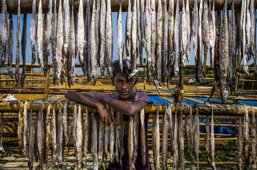 A worker boy of dried fish à Md. Sharif Uddin