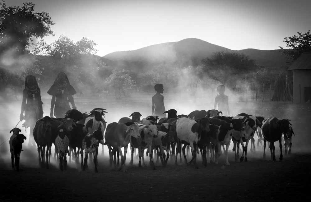 Him children returning from herding à Mei Shi