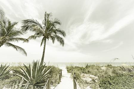 Seul sur la plage | Vintage