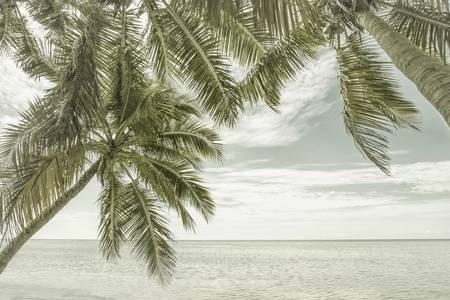 FLORIDA vue sur mer | Vintage