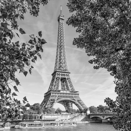 PARIS Tour Eiffel et Seine | Monochrome