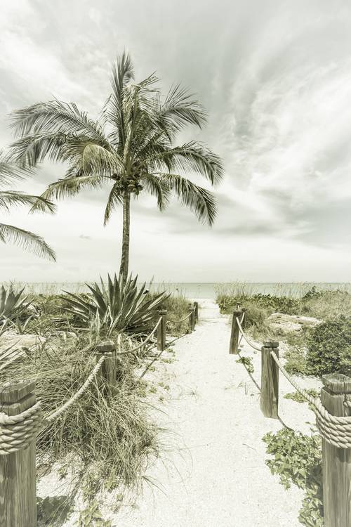 Chemin de la plage - Palms & Sea | Ancien à Melanie Viola