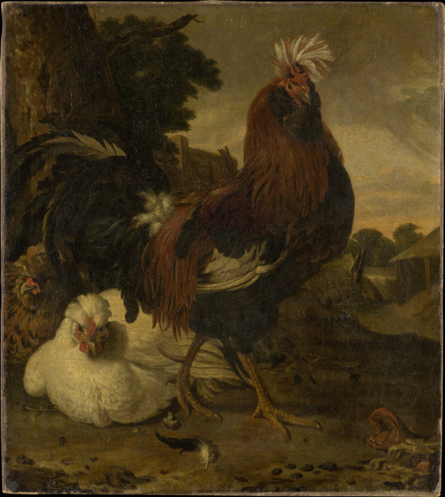 Cock in a Barnyard à Melchior de Hondecoeter