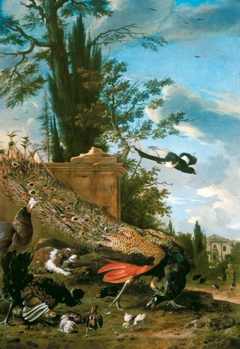 A Peacock and a Spaniel in the Garden of a Villa à Melchior de Hondecoeter