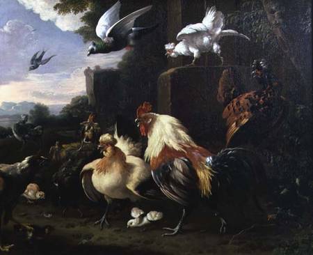 A cockerel and other fowl in a landscape à Melchior de Hondecoeter