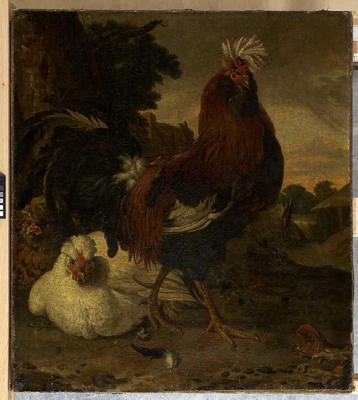 Hahn und zwei Hennen. à Melchior de Hondecoeter