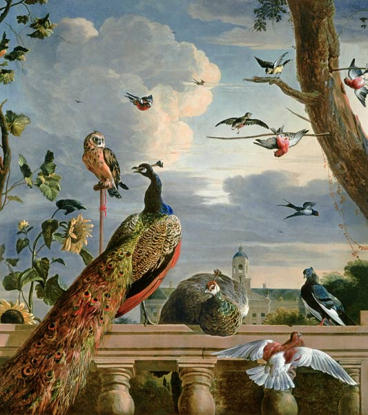 Palais à Amsterdam avec oiseaux exotiques à Melchior de Hondecoeter