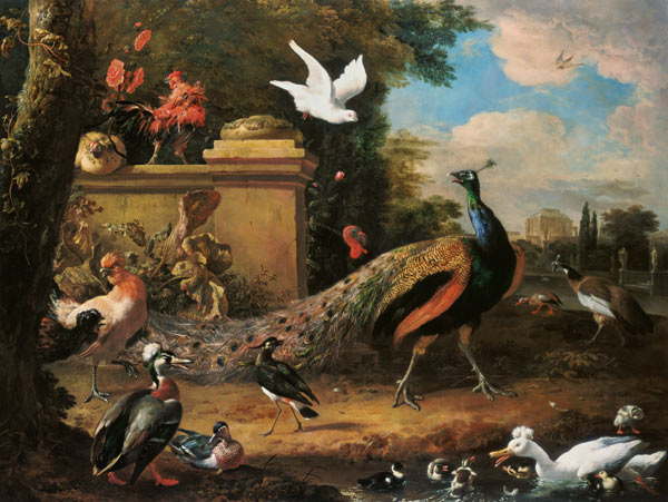 Peacocks and other Birds by a Lake à Melchior de Hondecoeter