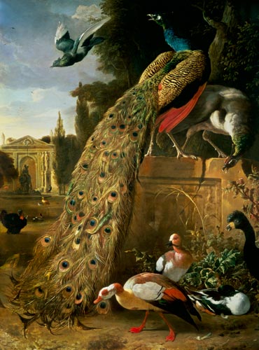 Peacock and a Peahen on a Plinth, with Ducks and Other Birds in a Park à Melchior de Hondecoeter