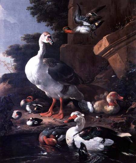 Waterfowl in a classical landscape à Melchior de Hondecoeter