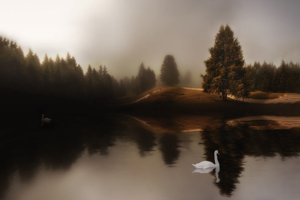 Swan Lake à Michael