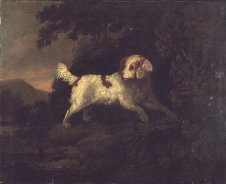 Study of Clumber Spaniel in Wooded River Landscape à Michael Cooper