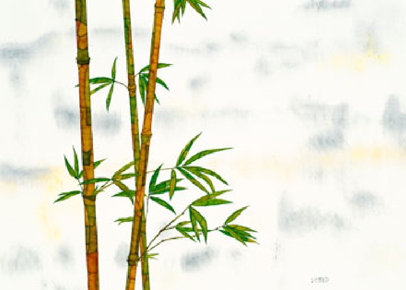 Bambus à Michael Ferner