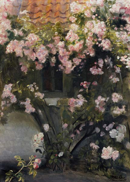 roses d'escalade à Michael Peter Ancher