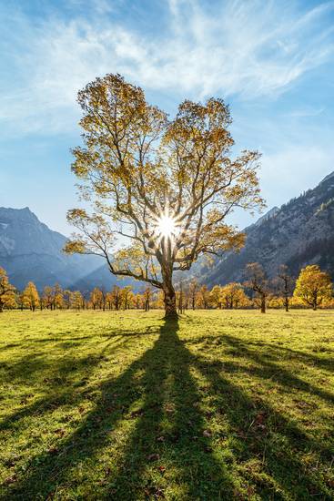 Herbst am Großen Ahornboden in Österreich